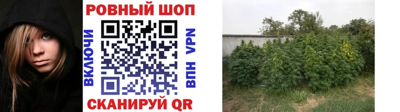 Что такое Ревда ГАШИШ Альфа ПВП КОКАИН МЕФ АМФ Галлюциногенные грибы Канабис