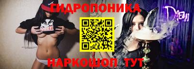 ECSTASY Прокопьевск