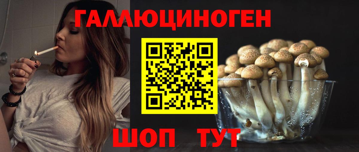 Галлюциногенные грибы GOLDEN TEACHER Ревда